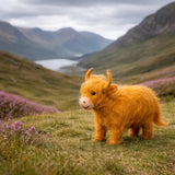 NUEVO Hamish la Vaca Highland