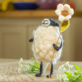 - Taller Rosita